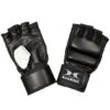 Hammer Boxhandschuhe "Premium"