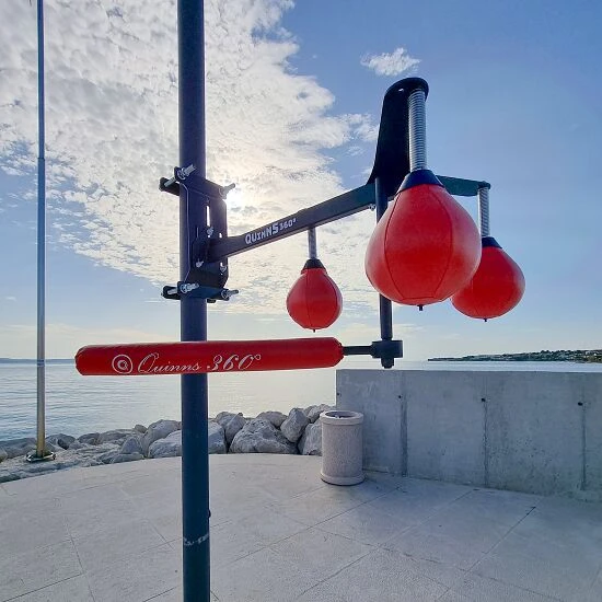 Quinns Boxtrainer "360°" 2 Quinns Boxtrainer "360°" – Bild 2