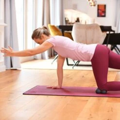 Spinefitter By Sissel Rückentrainer "Mini" -Functional Training Store 340 3408 3